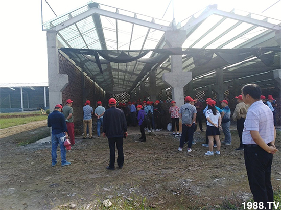 水溶肥市場大變革?。亢Ｔ寰?、魚蛋白將被它代替！1000多用戶鼎力推薦！