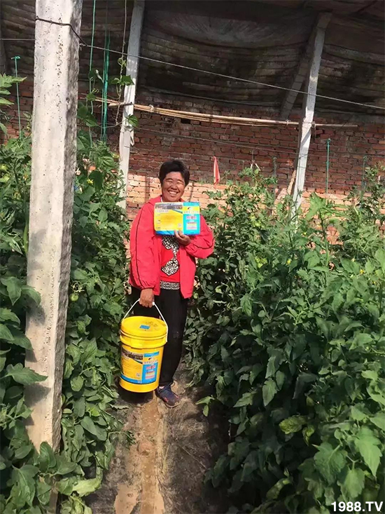 水溶肥市場大變革?。亢Ｔ寰?、魚蛋白將被它代替！1000多用戶鼎力推薦！