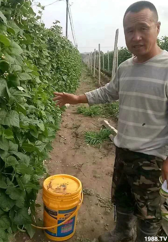 水溶肥市場大變革?。亢Ｔ寰?、魚蛋白將被它代替！1000多用戶鼎力推薦！