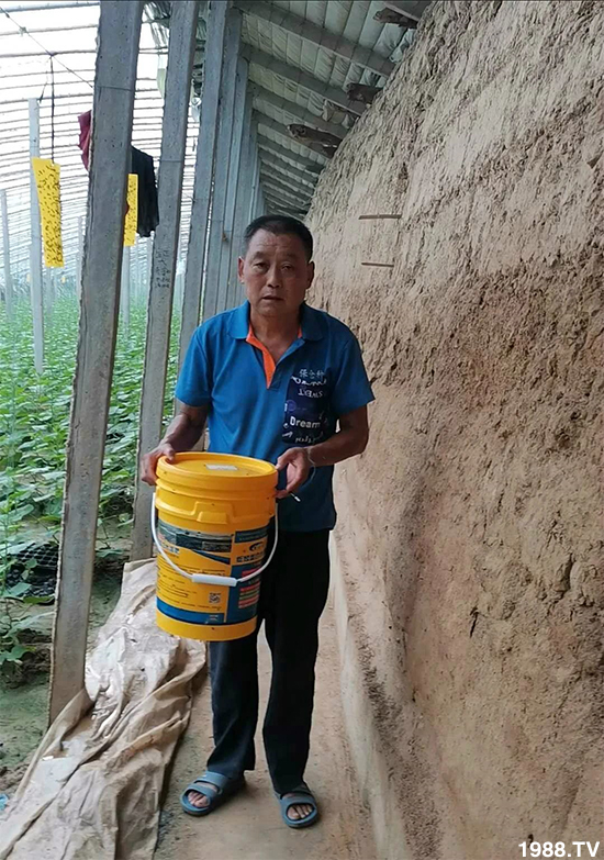 水溶肥市場大變革！？海藻精、魚蛋白將被它代替！1000多用戶鼎力推薦！