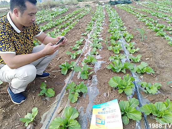 水溶肥市場大變革?。亢Ｔ寰?、魚蛋白將被它代替！1000多用戶鼎力推薦！