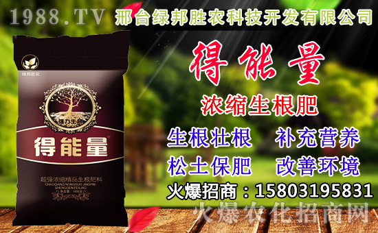 2020��С���N������x���߮aС��Ʒ�N����Щ��