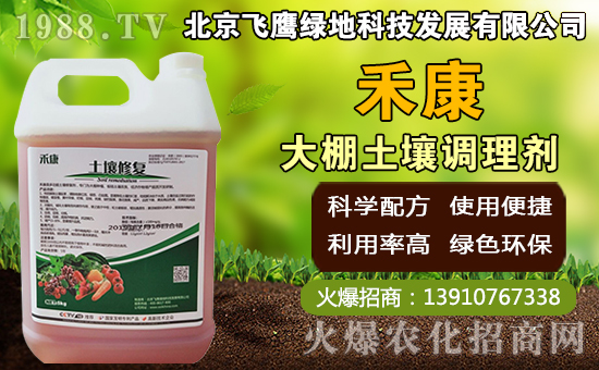 豬肚菇如何種植，豬肚菇栽培管理技術！