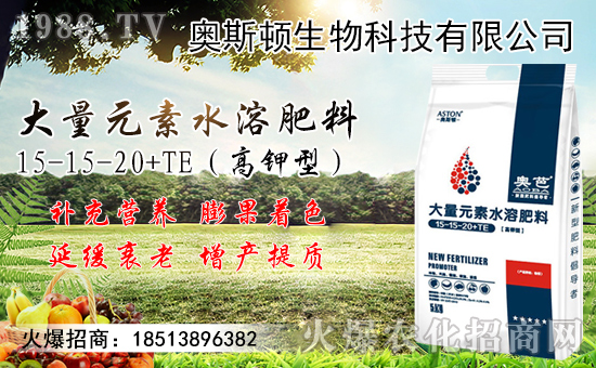 9月小麥?zhǔn)袌鲂星轭A(yù)測！附近期小麥?zhǔn)召弮r(jià)格！