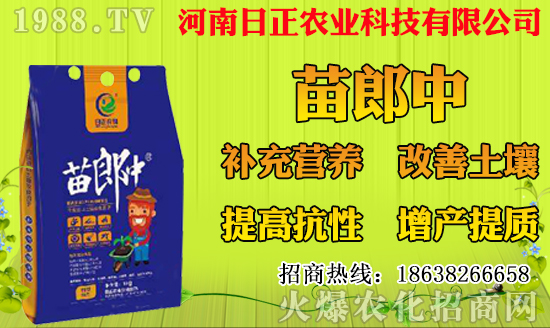 ���}�Nֲ��ýY(ji��)����һ��Y(ji��)�״ι������}�Nֲ���g(sh��)Ҫ�c(di��n)��