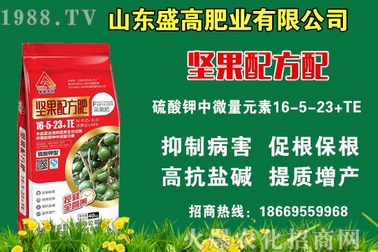 小麥價(jià)格還要上漲嗎？9月9日國(guó)內(nèi)小麥價(jià)格行情！