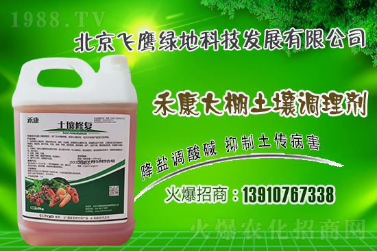 紫皮大蒜怎么種植？紫皮大蒜高產(chǎn)栽培技術(shù)！