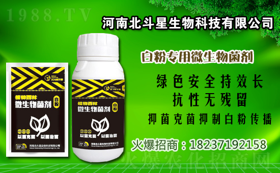 2021年1月21日三唑酮農(nóng)藥價格廠商報價
