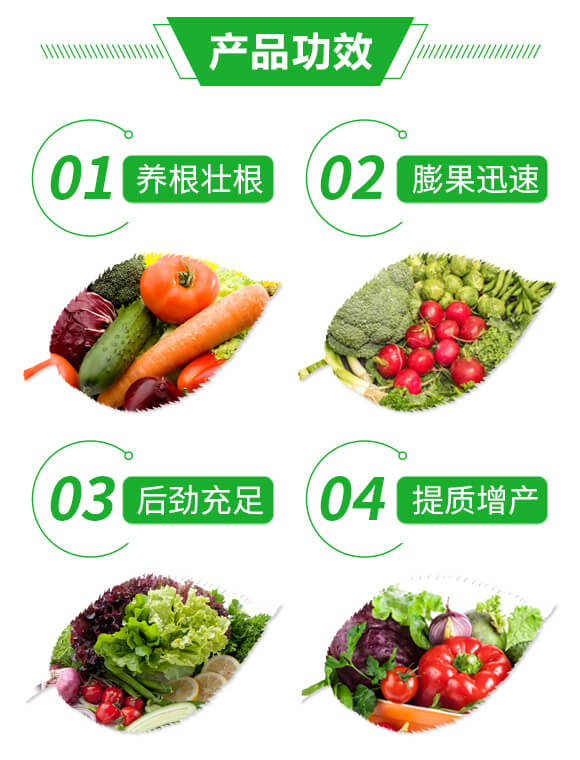 風(fēng)流魚魚肥(魚蛋白肥)-綠肥_03