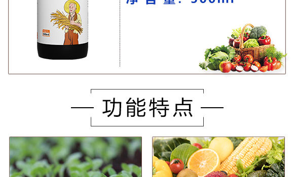 早熟鼓粒授粉液-實(shí)禾_04