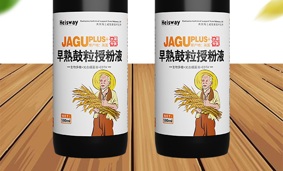 早熟鼓粒授粉液-實(shí)禾_02