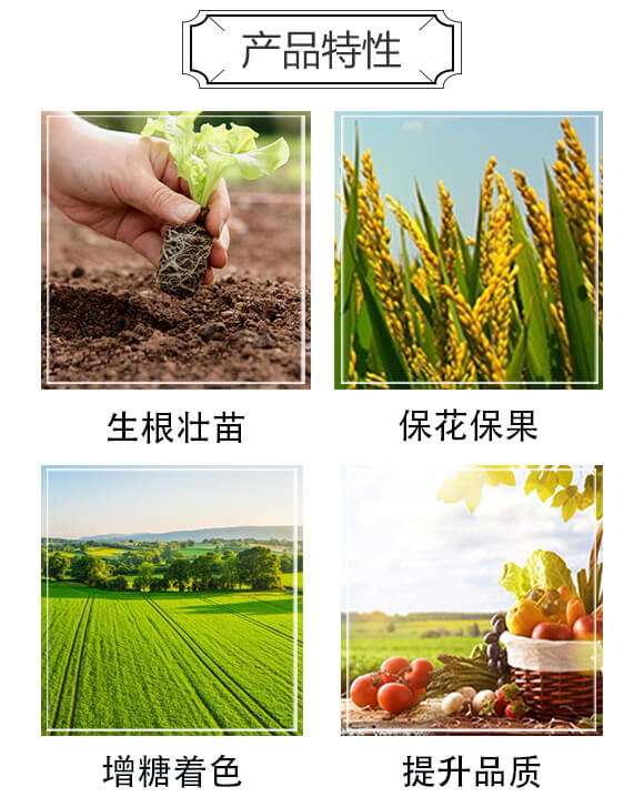 酶解魚蛋白原漿-喜魚（20kg）-德姆沙_03