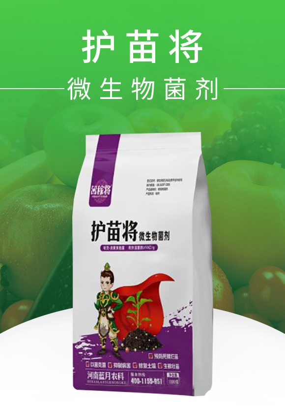 ΢�������-�o(h��)�猢-��ڌ�-�{(l��n)���r(n��ng)��_01