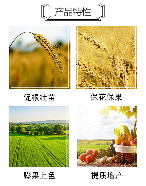 高鈣高鉀爆根膨果優(yōu)鉀素-海法優(yōu)佳_03