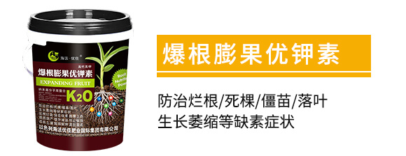 高鈣高鉀爆根膨果優(yōu)鉀素-海法優(yōu)佳_02