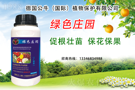 草莓著色不良到底是哪些原因？草莓著色不良又該如何避免？