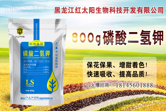     2021年小麥價格多少錢一斤？2月小麥價格會漲嗎？