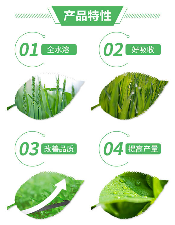 復(fù)混肥料27-16-10+6-保樂豐_02