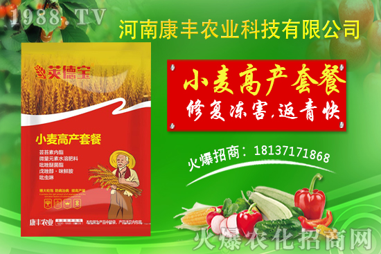 小麥高產(chǎn)套餐能解決小麥哪些問題?小麥高產(chǎn)套餐使用方法!