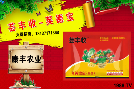 冬季要不要給小麥澆越冬水?小麥冬灌什么時(shí)候合適?