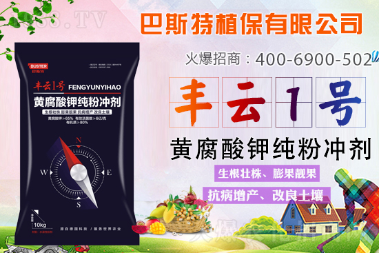 土壤板結(jié)/鹽漬化/酸化難解決？就用黃腐酸鉀純粉劑！