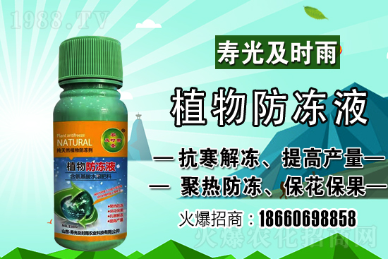 今日小麥價(jià)格上漲！到底會(huì)漲到多少錢一斤？