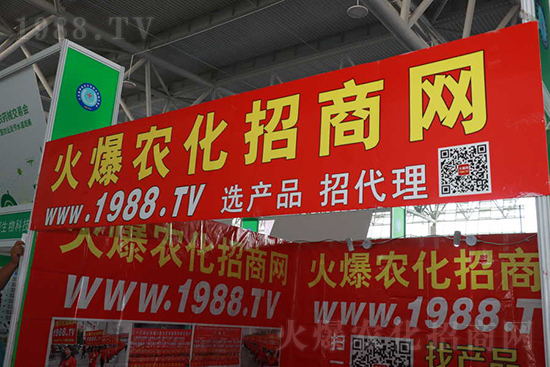 ��s���2021ɽ�|ֲ����(hu��)���𱬾W(w��ng)��������ʢ�e��