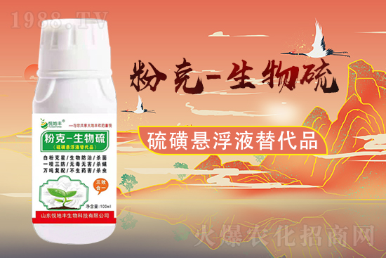 山東悅地豐續(xù)約1988.TV!共謀合作新發(fā)展