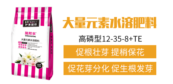 護(hù)果國際3_02