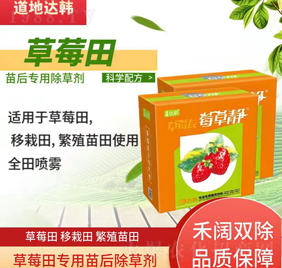 草莓育苗期間使用哪種除草劑？草莓除草劑使用方法！