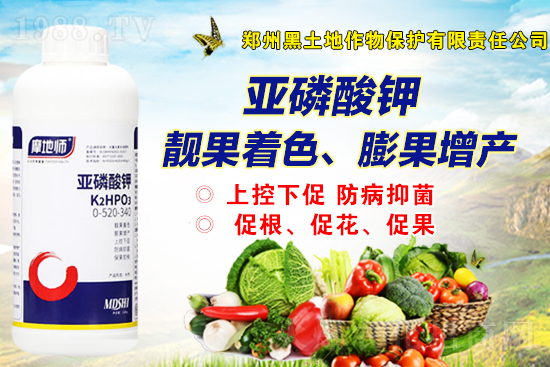 2021年12月2日磷銨新報(bào)價(jià)是多少？