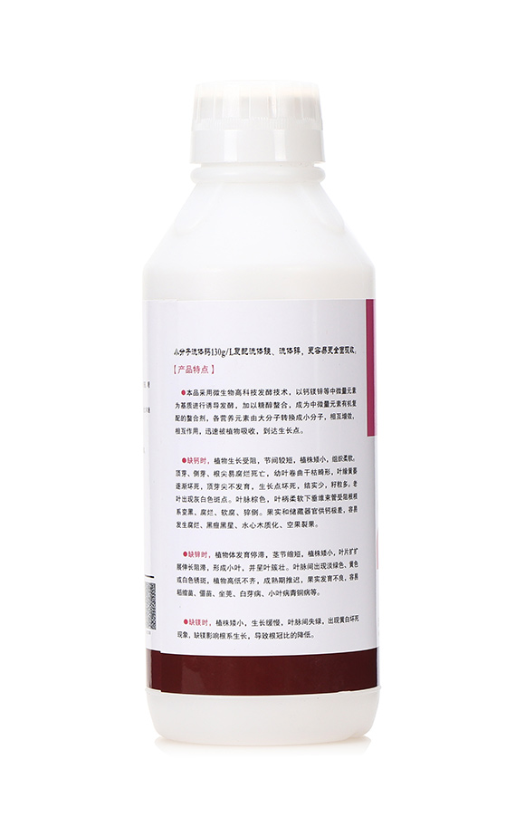 ���w�}�\�VҺ2