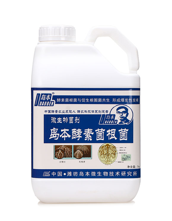 ΢�������-�u�����ؾ�����-�A�I����1