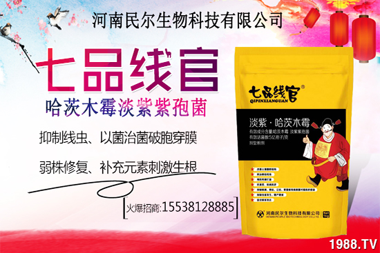 雪桃苗價(jià)格多少錢一株？雪桃種植前景怎樣？