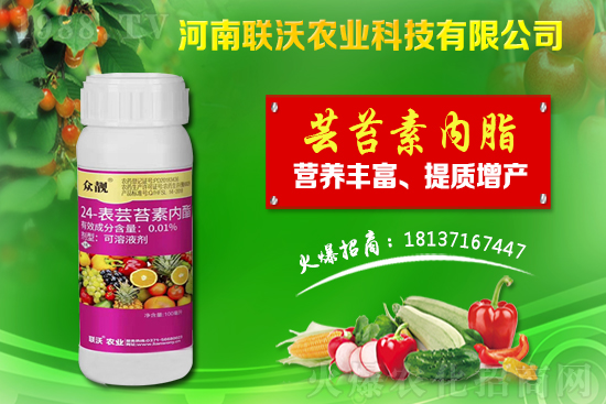 百部適合什么地方種植？百部種植前景及種植技術(shù)！