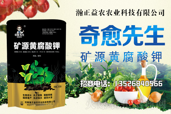 水稻價格還將上漲！上行空間有多大？附:當前水稻價格