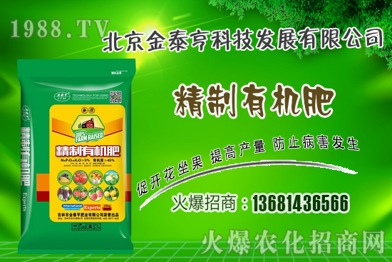 春季草莓該如何管理？草莓肥水管理技術(shù)！