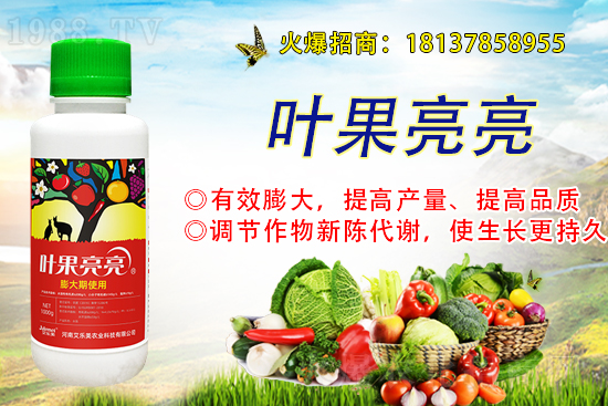 今日糧價(jià):小麥價(jià)格行情及后市分析