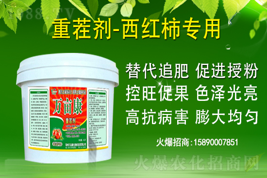 為什么果樹促梢建議用硝酸銨鈣，不建議用尿素？