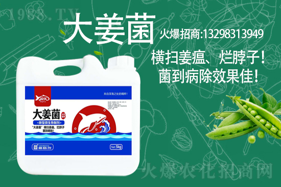 2021年3月10日全國小麥價格及分析