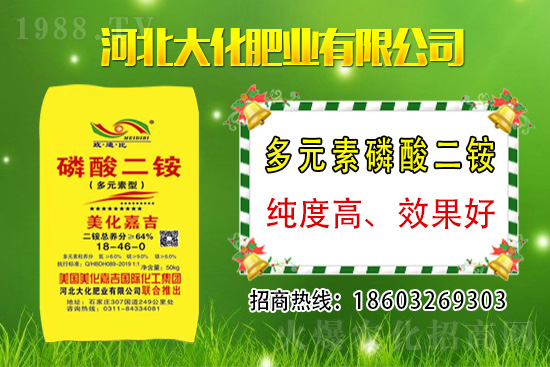 小麥價(jià)格多少錢一斤？2021年3月12日麥價(jià)格分析