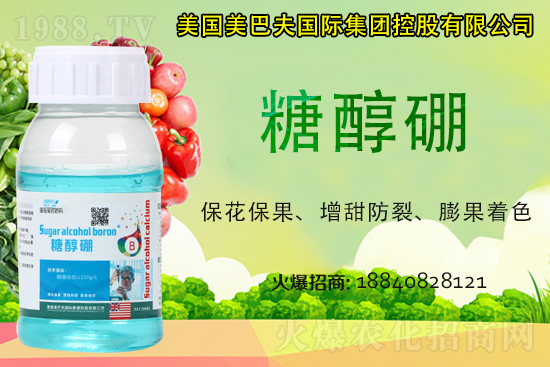 今日稻谷多少錢一斤？2021年稻谷價格是否還會漲？