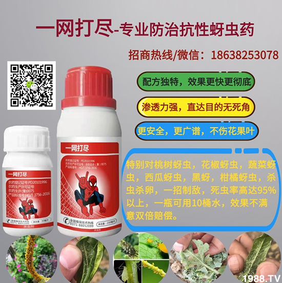 2021.3.17���x��ԭˎ�r���߲�