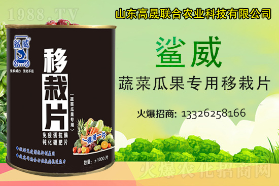 幼苗移栽苗弱、不長(zhǎng)、死苗...?蔬菜定植必看