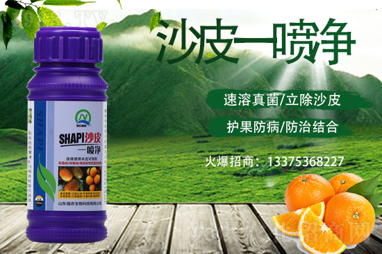 柑橘變成“麻子臉”！這些病害要小心