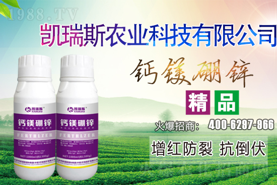 2021年3月第四周黑龍江大豆價(jià)格行情