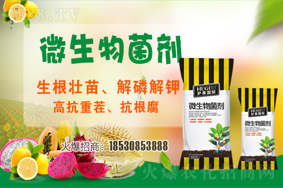 ��ݮ�����F(xi��n)���l���l(f��)������ҪԴ��ʲô������