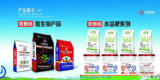 ���˟oζ���ϲ����������㡱�ǻ����ǵĵ���