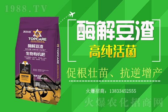 紫蘇種植怎樣管理？紫蘇田間除草及施肥技術(shù)！