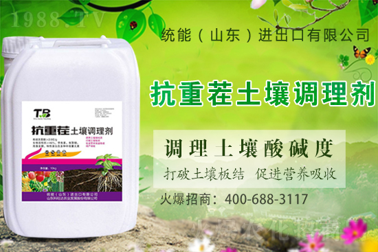板栗種植怎么選苗子？板栗種植管理要點(diǎn)！